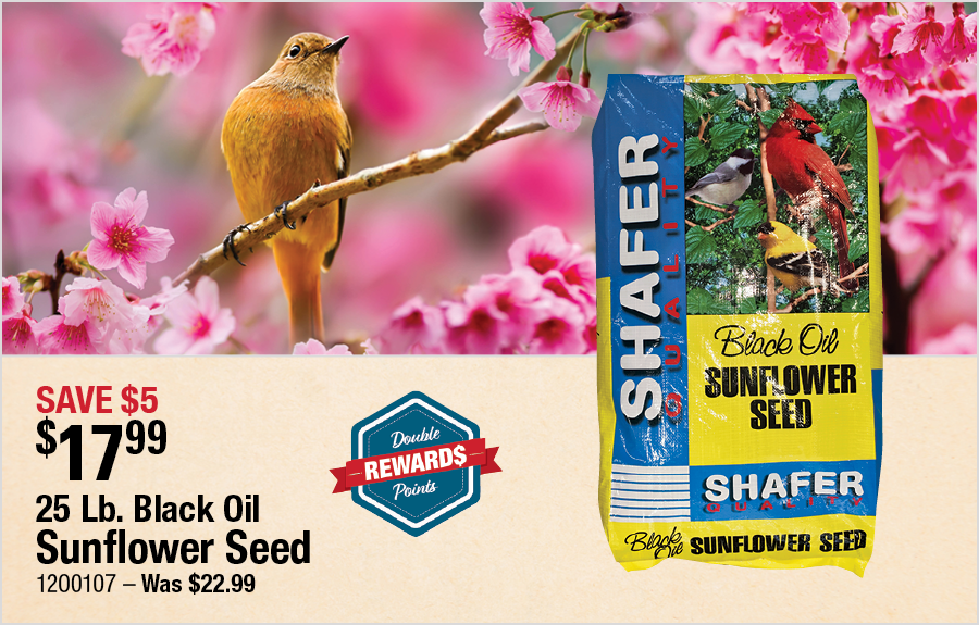 25 Lb. Black Oil Sunflower Seed